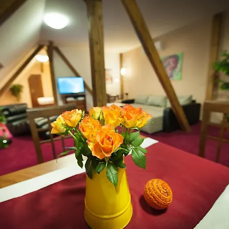 布里奥尼套房酒店 公寓式酒店