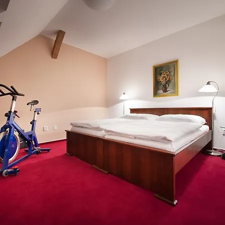 布里奥尼套房酒店